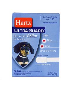 Ultra Guard Collar 2