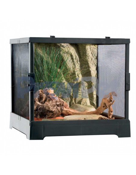 Screen Terrarium