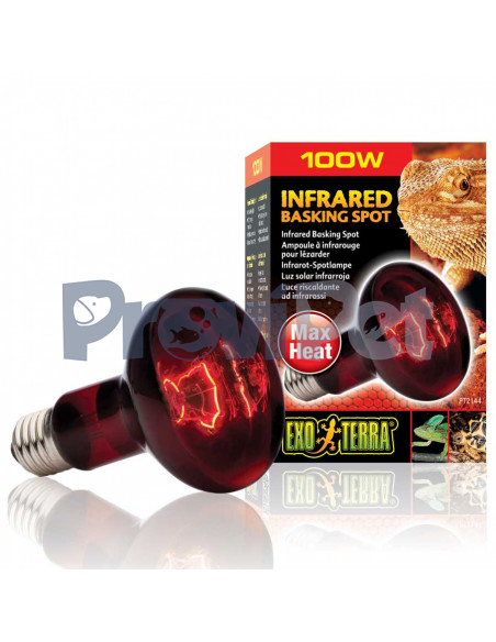 Infrared Basking Spot