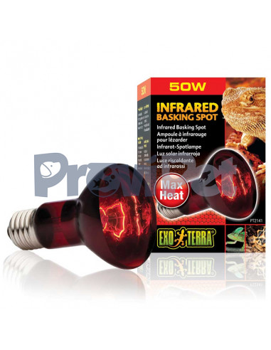 Infrared Basking Spot