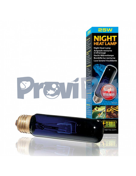 Night Heat Lamp