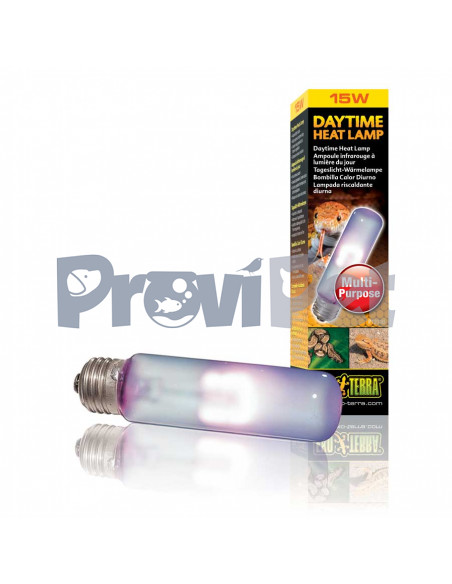 Daytime Heat Lamp