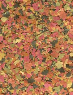 Tetramin Tropical Flakes 2
