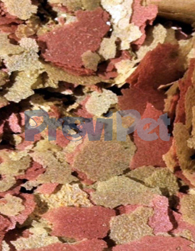 Tropical Fish Flake Food