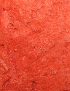 Natural Protein Formula Super Color Flakes 2