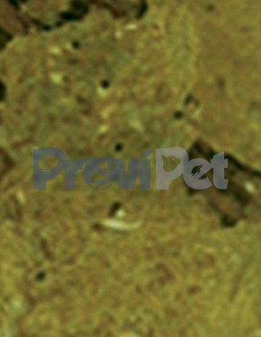 Natural SeaFood Formula Veggie Kelp Flakes