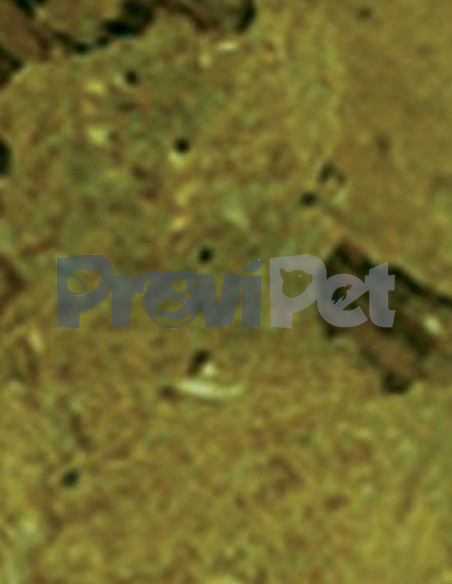 Natural SeaFood Formula Veggie Kelp Flakes