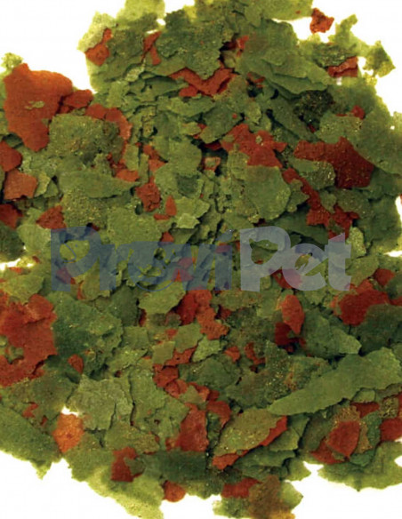 Spirulina Enriched Flakes Spirulina Enriched Flakes