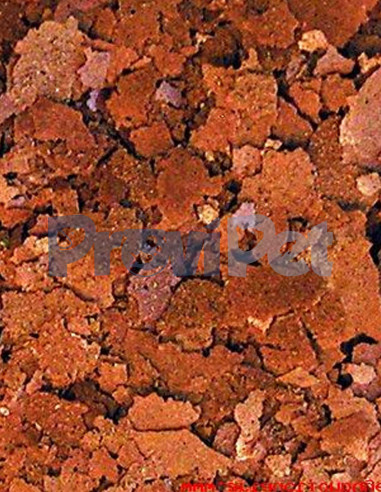 Color Enhancing Tropical Flakes