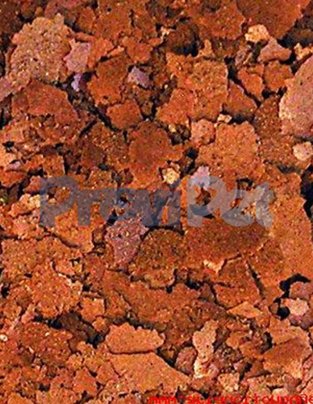 Color Enhancing Tropical Flakes