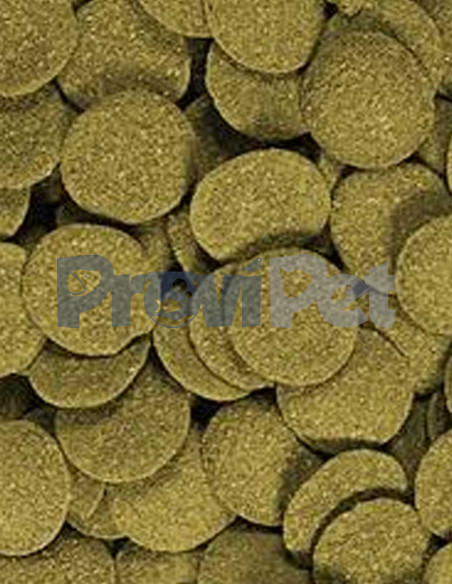 Sinking Bottom Fish Food