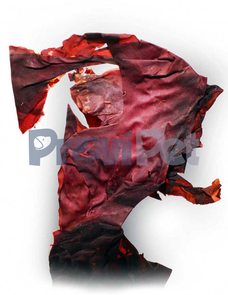 Sea Veggies Red SeaWeed