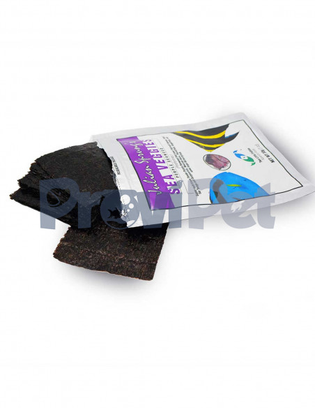 Sea Veggies Purple SeaWeed