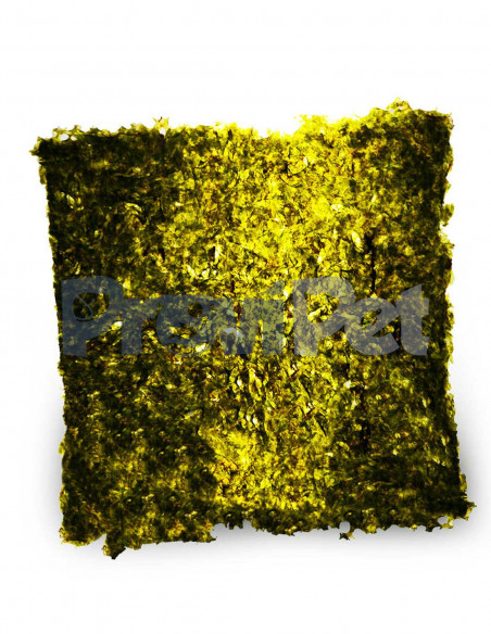 Sea Veggies Green SeaWeed
