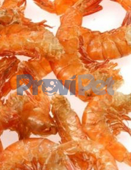 JumboKrill Freeze Dried Jumbo Shrimp