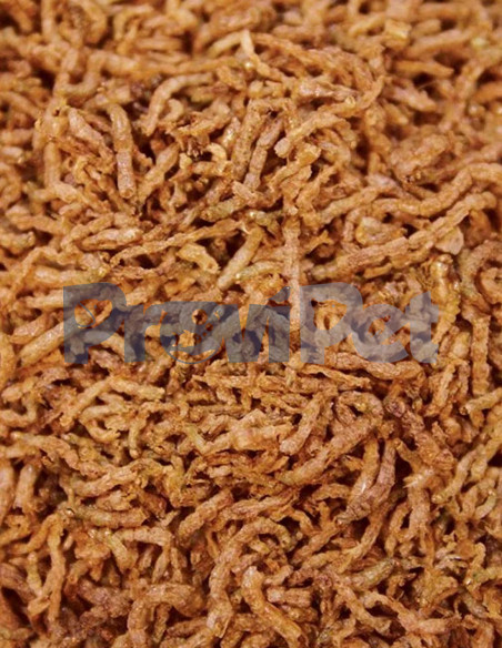 Freeze Dried BloodWorms