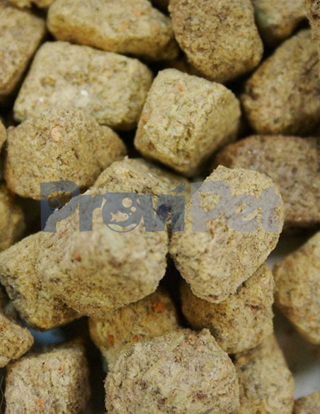 Freeze Dried Brine Shrimp