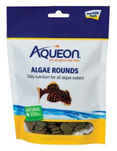 Algae Rounds 2