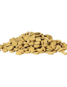Bottom Feeder Tablets 2