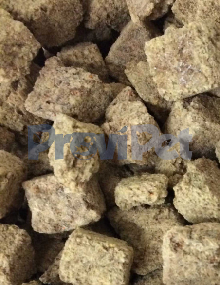 Artemia Deshidratada