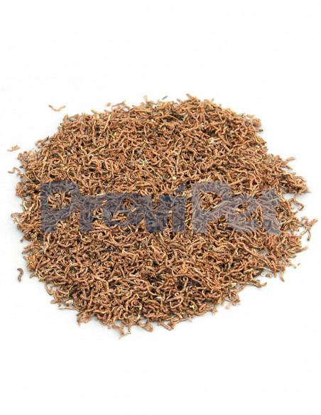 Gusanos De Sangre Deshidratados