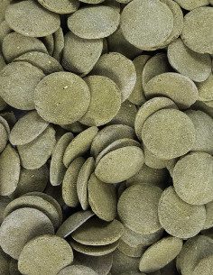Tank Nibblers Tuna 2