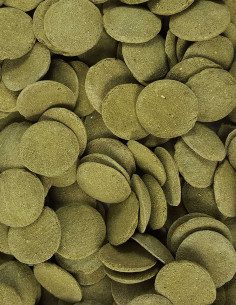 Tank Nibblers Veggie 2
