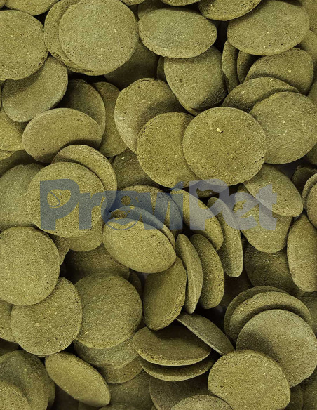 Tank Nibblers Veggie