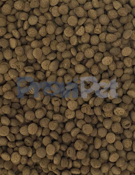 Carnivorous Shrimp Pie