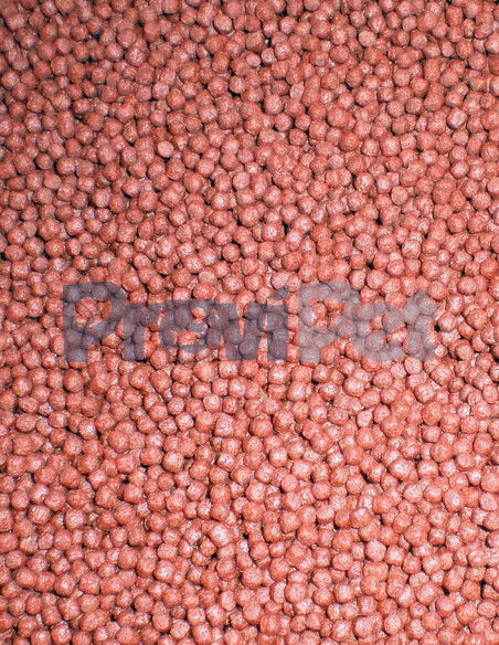 Spectrum Community Fish