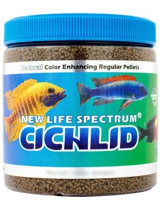 Spectrum Cichlid 2