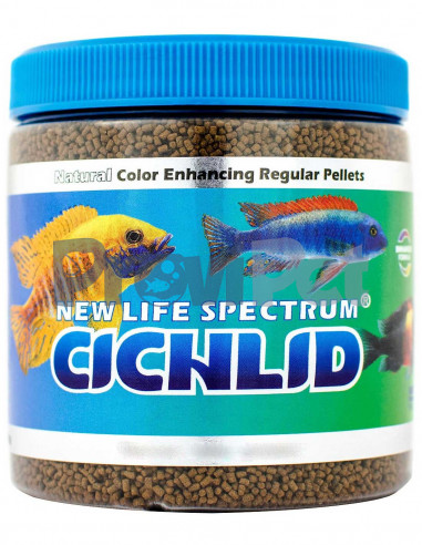 Spectrum Cichlid