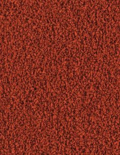 TetraColor Tropical Granules 2
