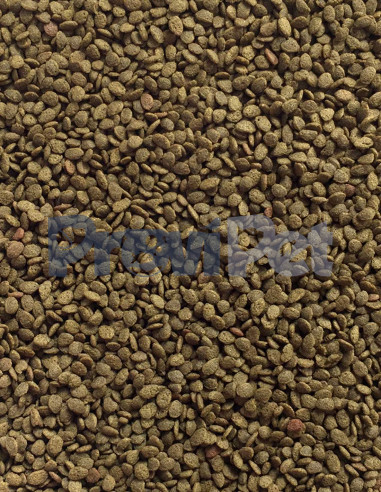 9 in 1 Discus Pellet Blue