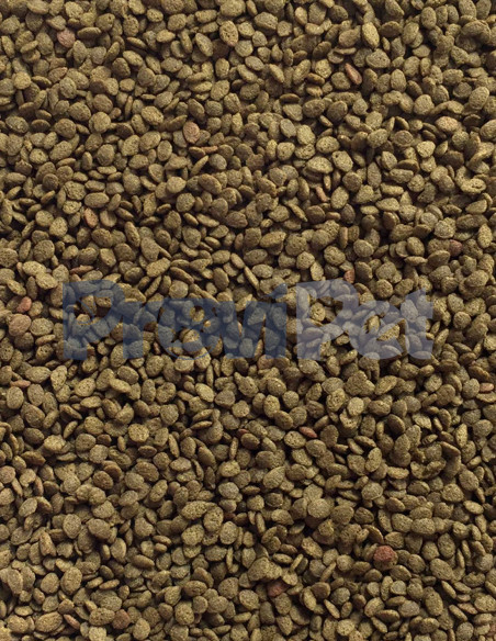 9 in 1 Discus Pellet Blue