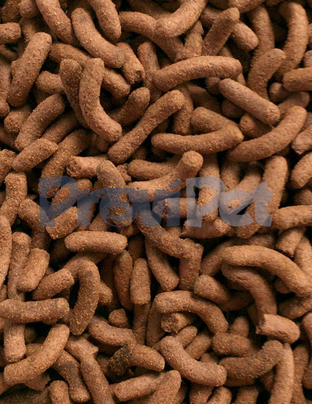 9 in 1 Arowana Sticks