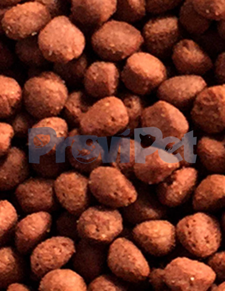 9 in 1 Flower Horn Pellet Medium 9 in 1 Flower Horn Pellet Medium