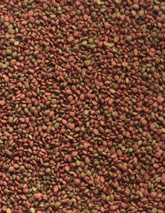 9 in 1 Marine Fish Pellet 2