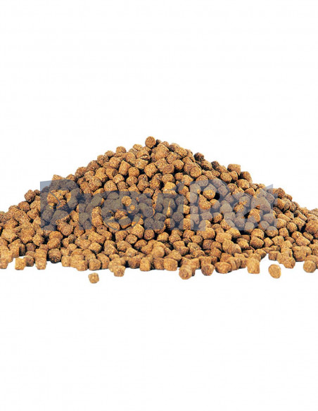 Cichlid Pellets Medium