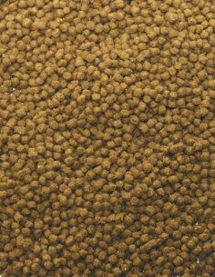 Goldfish Granules 2