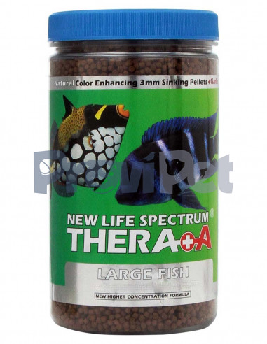 Spectrum Thera+A Large Fish