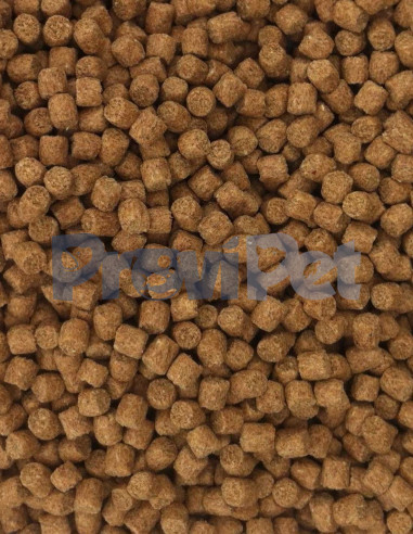 Spectrum Medium Fish Formula