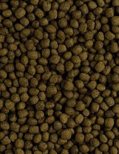 Spectrum Large Fish Formula 2