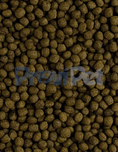 Spectrum Large Fish Formula