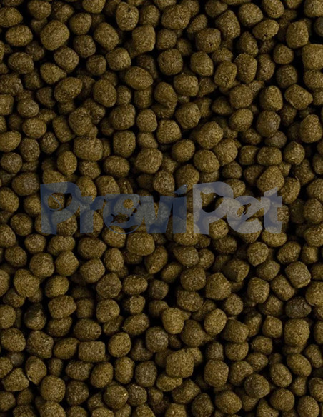 Spectrum Large Fish Formula