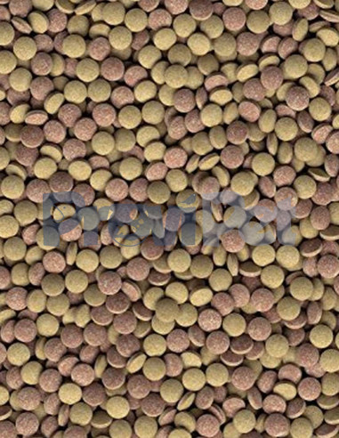 TetraMin Tropical Tablets