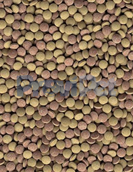 TetraMin Tropical Tablets