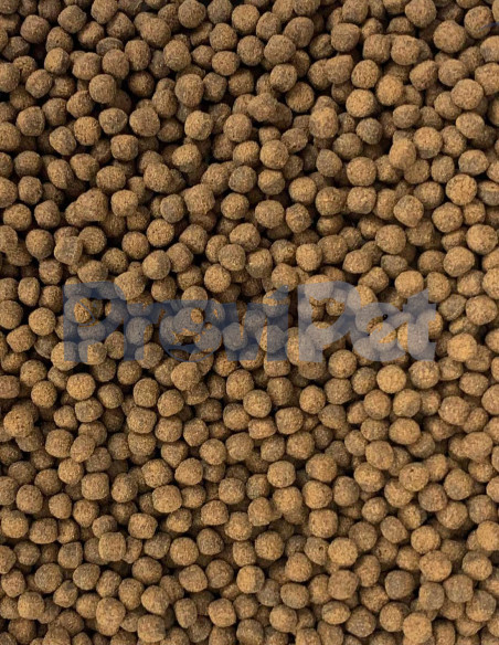 Royal Cichlid Premium Pellet