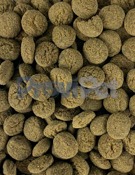 Pay De Camarón Con Vegetales Pay De Camarón Con Vegetales