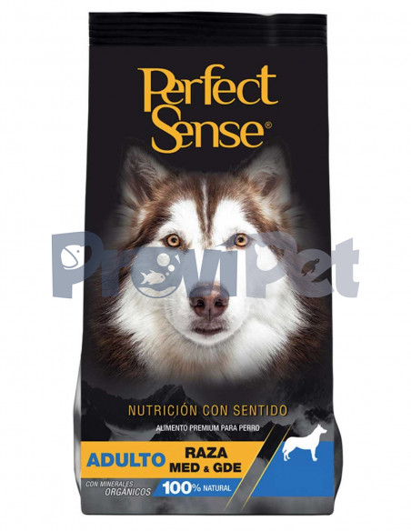 Adulto Raza Mediana y Grande